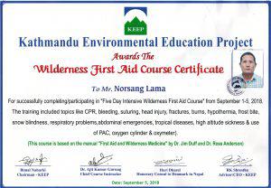 Basic First Aid training