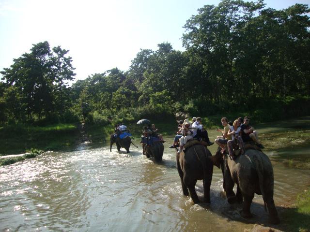 Elephant safari